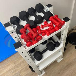 Купить Модульный стеллаж для гантелей, гирь  600х470х1160 в Бакале 